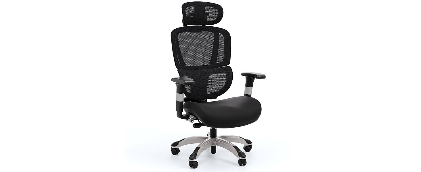 Amazon.com: STAPLES Ergonomic Task Chair, Mesh, Ergonomic, Lumbar